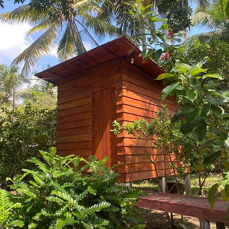 Coco Cabins By Thush Bentota Esterno foto