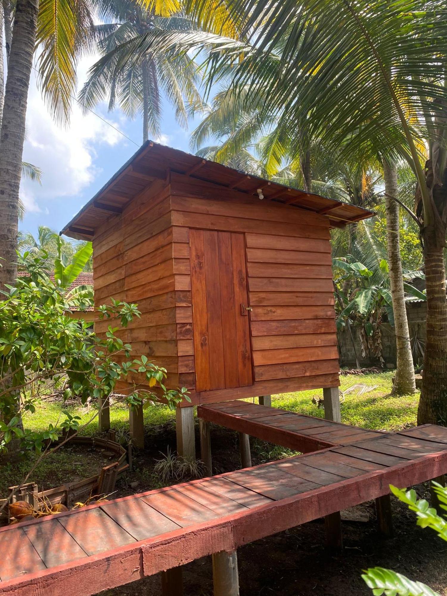 Coco Cabins By Thush Bentota Esterno foto