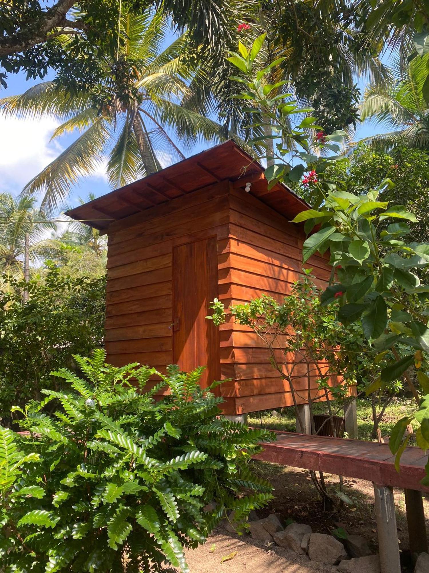 Coco Cabins By Thush Bentota Esterno foto