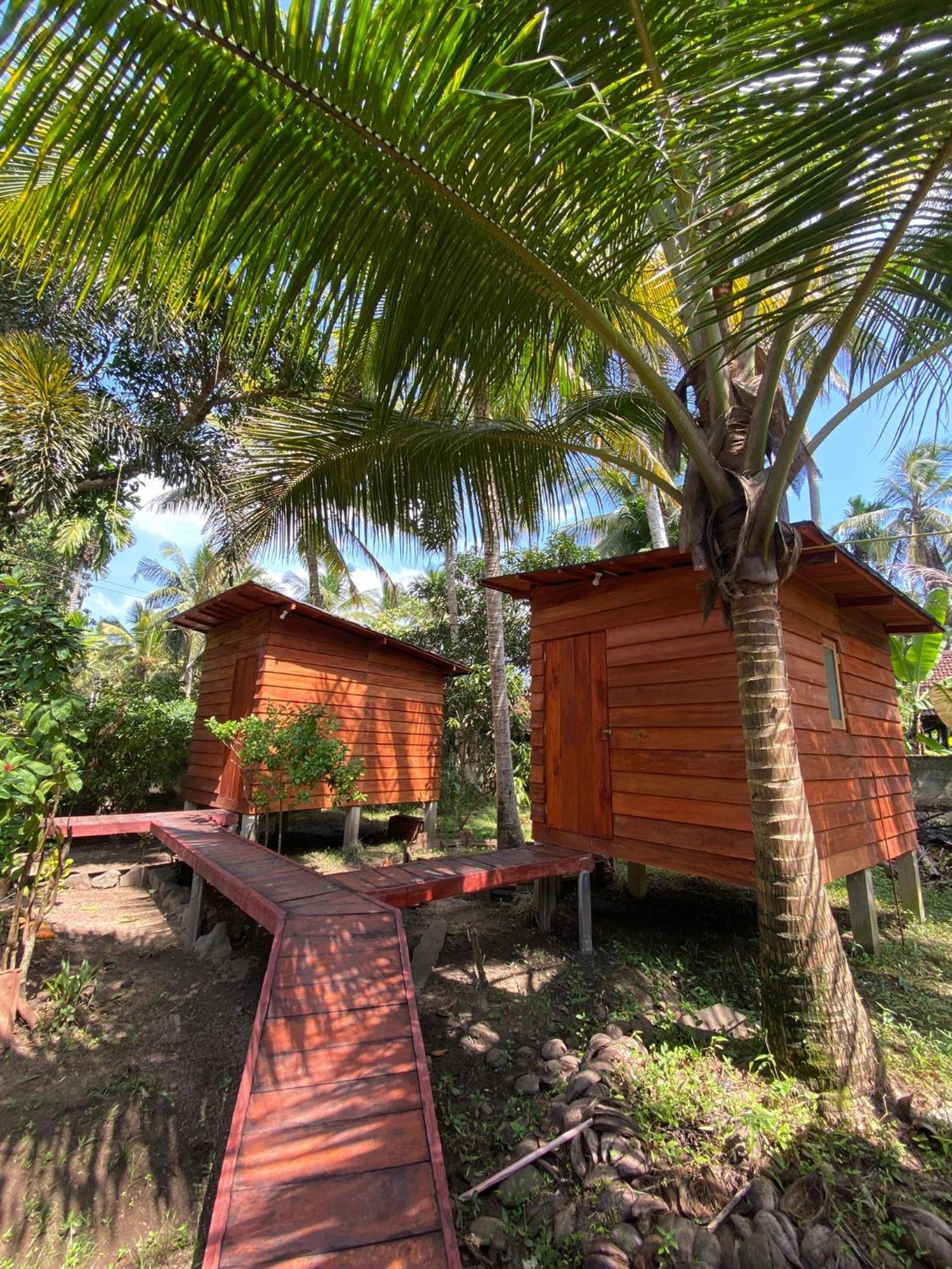 Coco Cabins By Thush Bentota Esterno foto